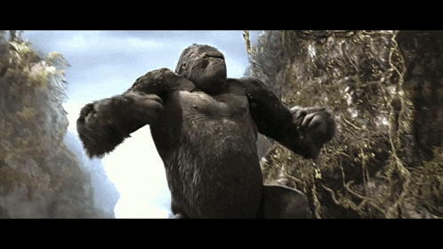 a very large gorilla is standing on a rocky hillside