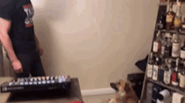 a man is playing a keyboard in a living room while a dog watches