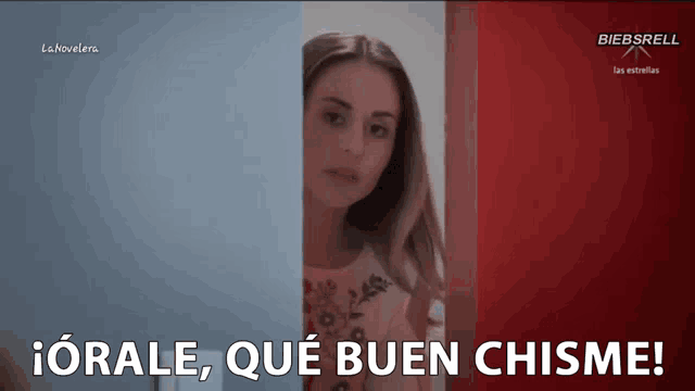 a woman in a pink dress stands in front of a red and blue wall with the words " orale que buen chisme " on the bottom