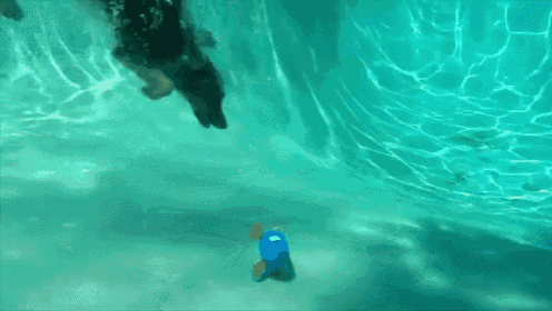 Great Depths GIF