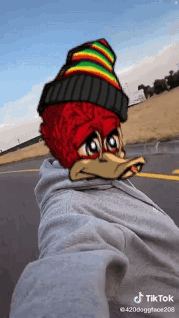a person is wearing a hoodie and a beanie with a cartoon face on it