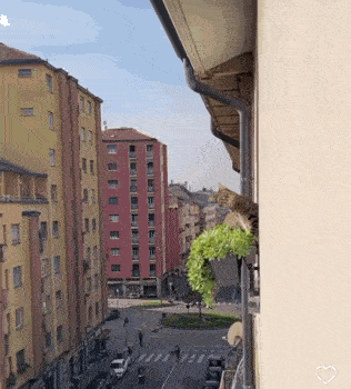 a cat sitting on a balcony overlooking a city street