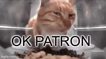 Cat Meme Ok Patron GIF - Cat Meme Ok Patron GIFs