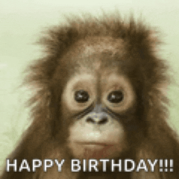 a baby orangutan is looking at the camera with the words `` happy birthday '' written below it .