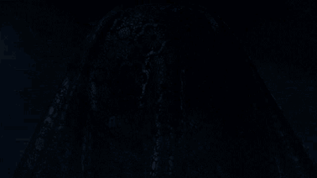 a person with blue eyes is covered in a black lace cloth