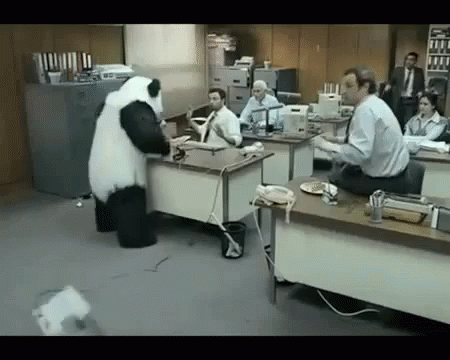 сердитая панда злая злость злой гнев работа бесит GIF - Panda Mad Angry GIFs