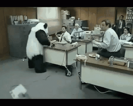 a panda bear is standing in the middle of an office