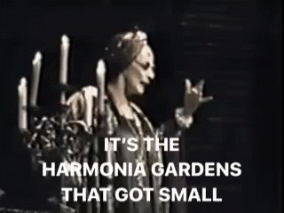 Betty Buckley Hello Dolly GIF - Betty Buckley Hello Dolly Harmonia Gardens GIFs