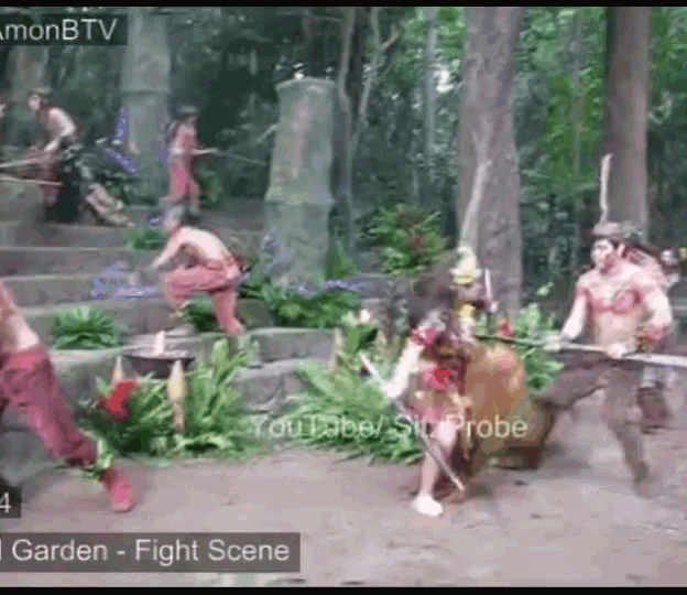 a video of a garden fight scene is being displayed