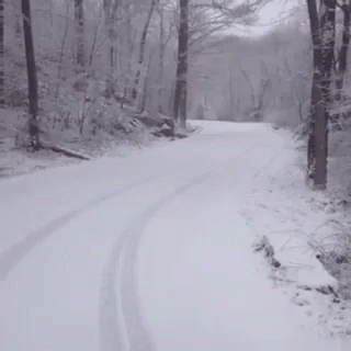 Snow Run GIF - Snow Run Naked GIFs