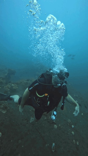 Scuba Diving GIF - Scuba Diving GIFs