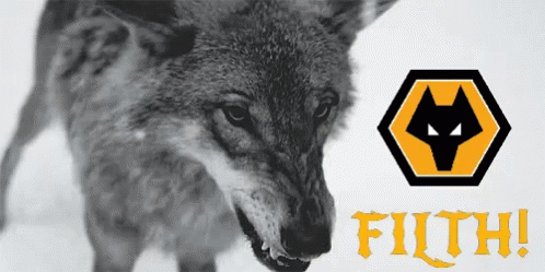 Wolf Angered GIF - Wolf Angered GIFs