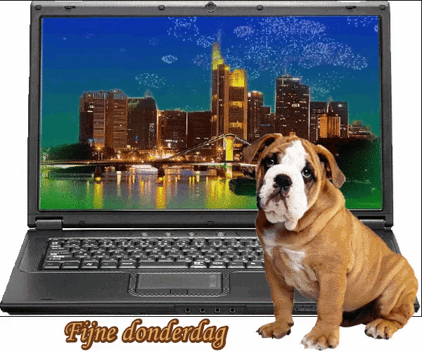 a picture of a dog sitting in front of a laptop with the words fijne donderdag below it