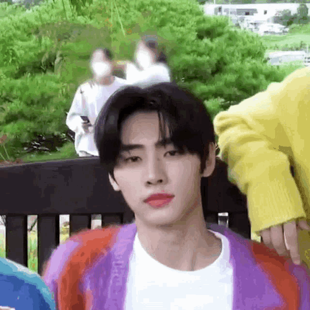 a young man wearing a purple cardigan and a yellow sweater is sitting on a park bench .