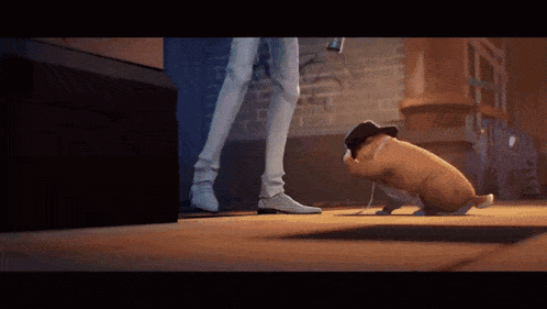 a dog wearing a hat is sniffing a person 's foot