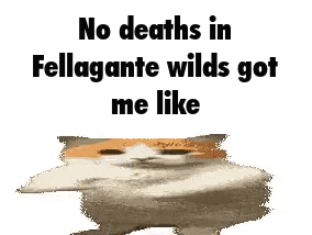 a cat is standing in front of a white background and says `` no deaths in fellagante wilds got me like '' .