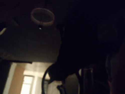 Shadow Walker Too Damn Early For This GIF - Shadow Walker Too Damn Early For This GIFs