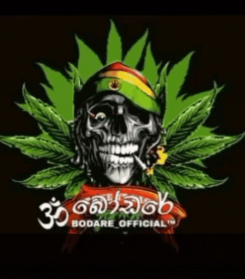 a skull wearing a rasta hat is surrounded by cannabis leaves