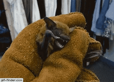 Bat Angry GIF - Bat Angry Hangry GIFs
