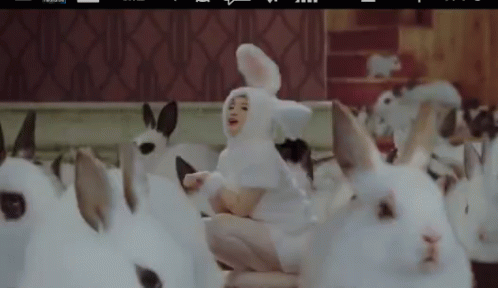 K Pop Bunny GIF - K Pop Bunny Bunny Costume GIFs