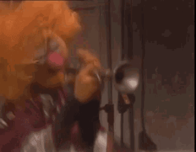 Muppet Family Christmas Muppets GIF - Muppet Family Christmas Muppets Sesame Street GIFs