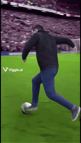 a man kicking a soccer ball on a field with a viggle.ai logo