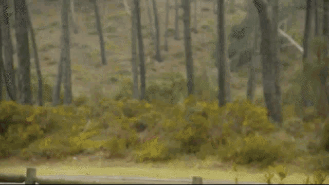 a man in a white robe and sunglasses is running through a forest