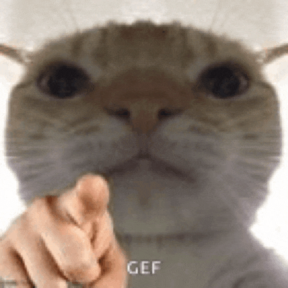 a cat is pointing at the camera with its finger .