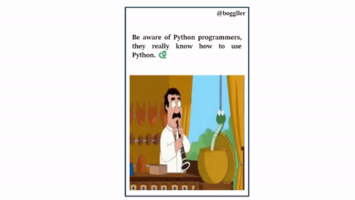 Boggller Python GIF - Boggller Python Programmers GIFs