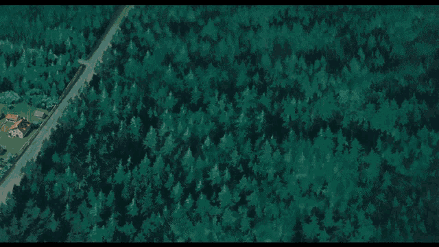 an aerial view of a forest with a road in the foreground