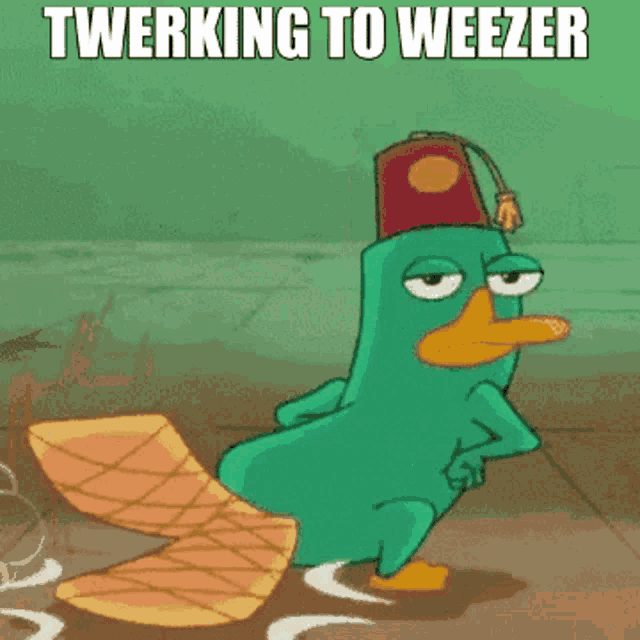 a cartoon of perry the platypus wearing a red hat with the caption twerking to weezer