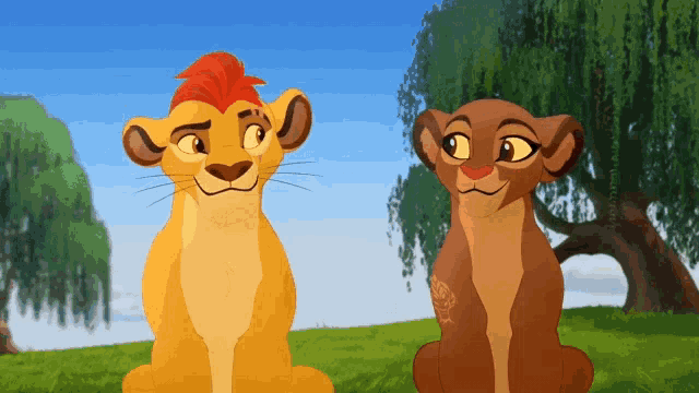 a lion and a lioness are sitting next to each other in a field