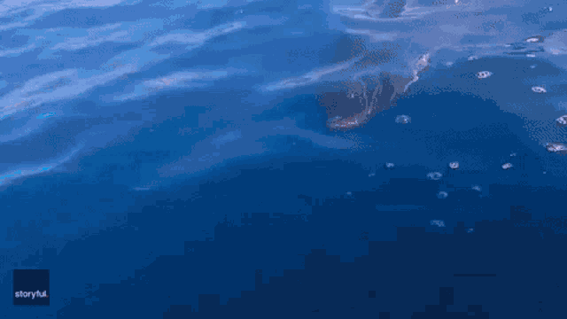 a picture of a body of water with the words storyful at the bottom