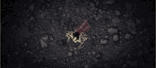 an aerial view of a skeleton with a red cape laying on the ground