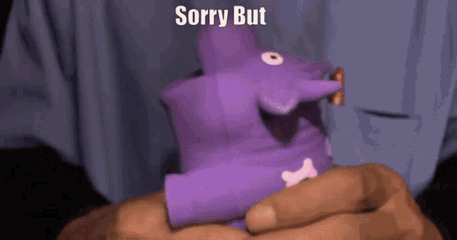 a person holding a purple stuffed animal with the words sorry but on the bottom