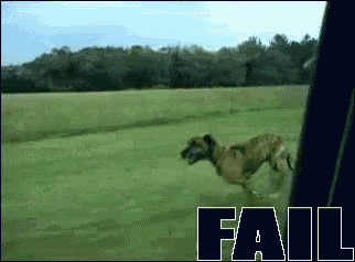 a picture of a dog running in a field with fail written on the bottom