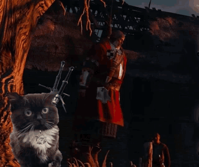 a black and white cat is standing in front of a man in armor