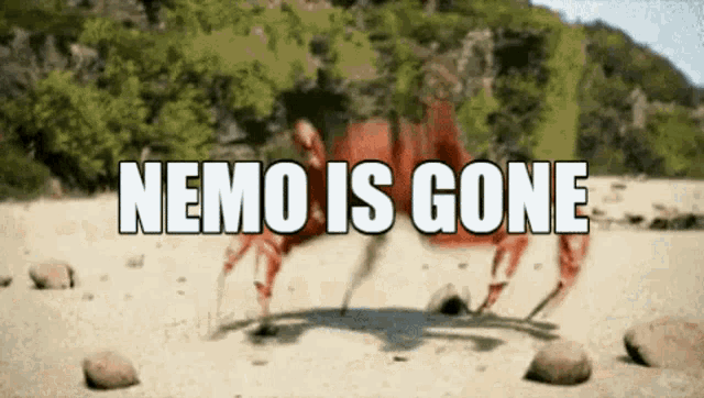 Nemo Nemo Is Gone GIF - Nemo Nemo Is Gone Crab GIFs