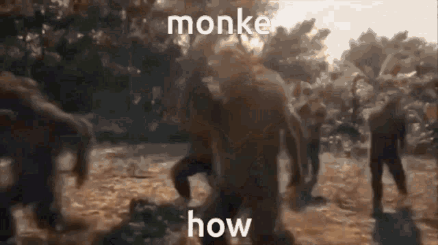 a group of people are standing in a field with the words monke how written on the screen