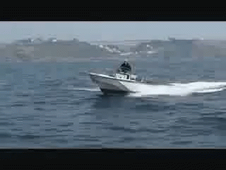 Whaler Boat GIF - Whaler Boat GIFs