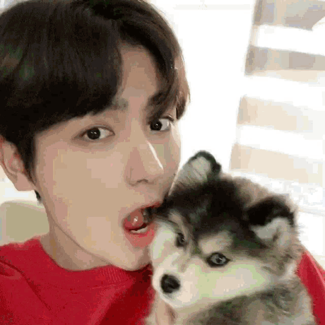 a young man in a red shirt is holding a small husky puppy .