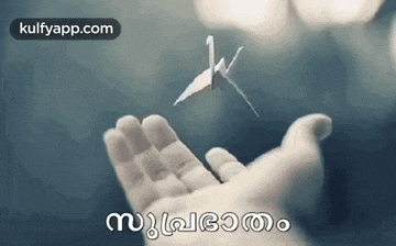 a person is holding a paper crane in their hand with the words malayalam written on it