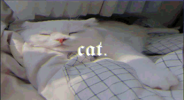 Cat Sleeping GIF - Cat Sleeping Glitch GIFs
