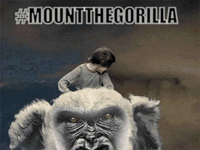 Mountthegorilla Gdt GIF - Mountthegorilla Gdt Gorilladiamond GIFs