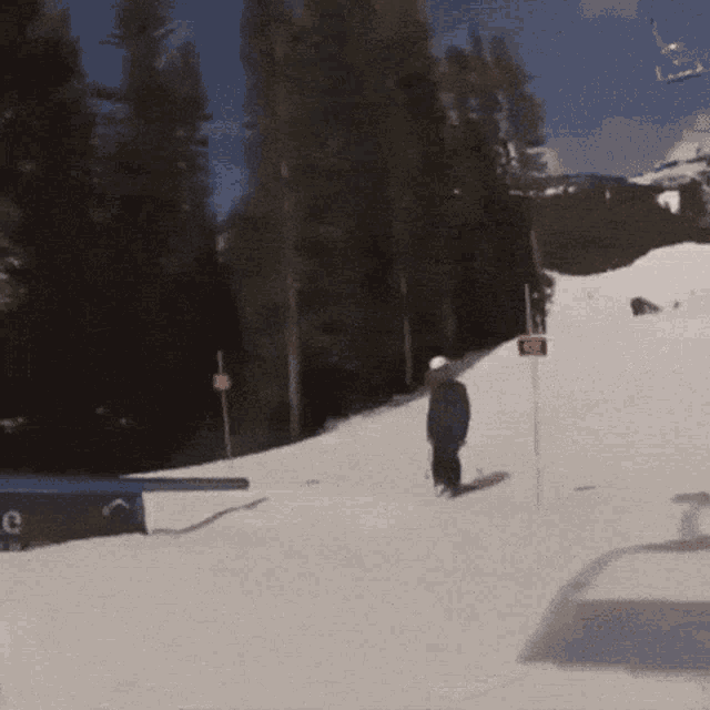 Ski Skiing GIF - Ski Skiing Swag GIFs