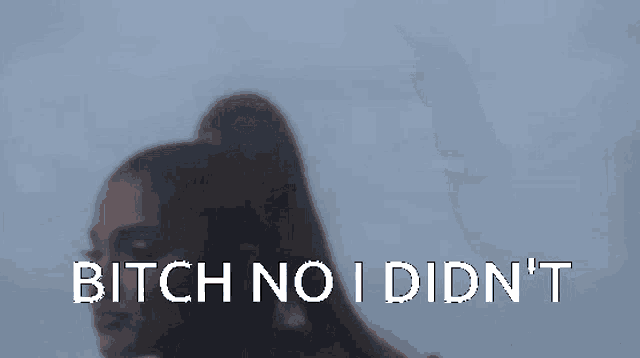 ariana grande says " bitch no i didn 't " while singing a song