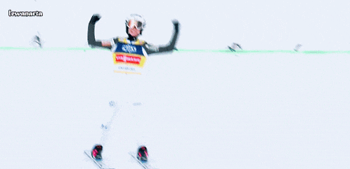 a person wearing a helmet and goggles with a vest that says viemann on it
