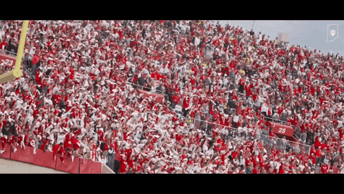 a large crowd of people in a stadium with the number 25 on the bleachers
