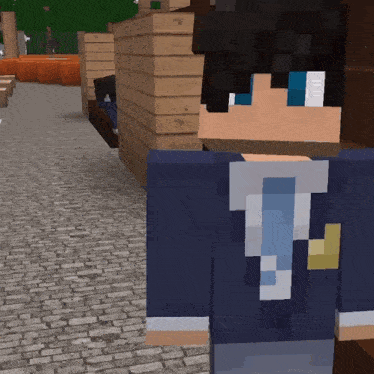 a minecraft character with a letter t on his back