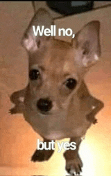 a small dog is standing on its hind legs with the words `` well no , but yes '' written on it .